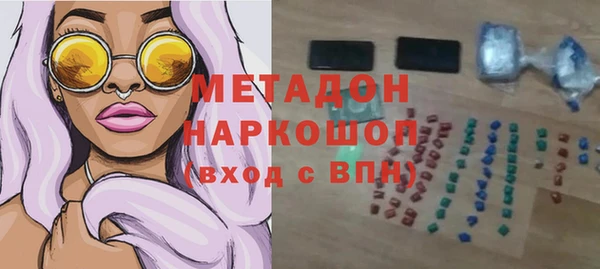 прущие грибы Богданович