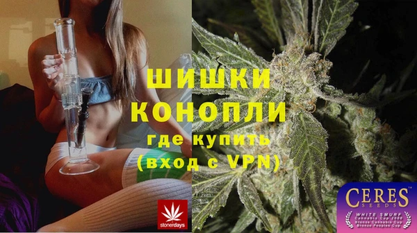 ECSTASY Белокуриха