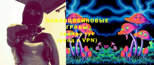 молекула духа Богородицк
