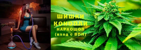 ECSTASY Белокуриха