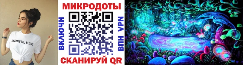 где можно купить наркотик  Павловская  Галлюциногенные грибы Magic Shrooms 